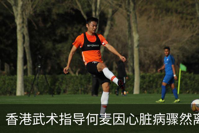 香港武术指导何麦因心脏病骤然离世，师傅遗孤痛失良徒